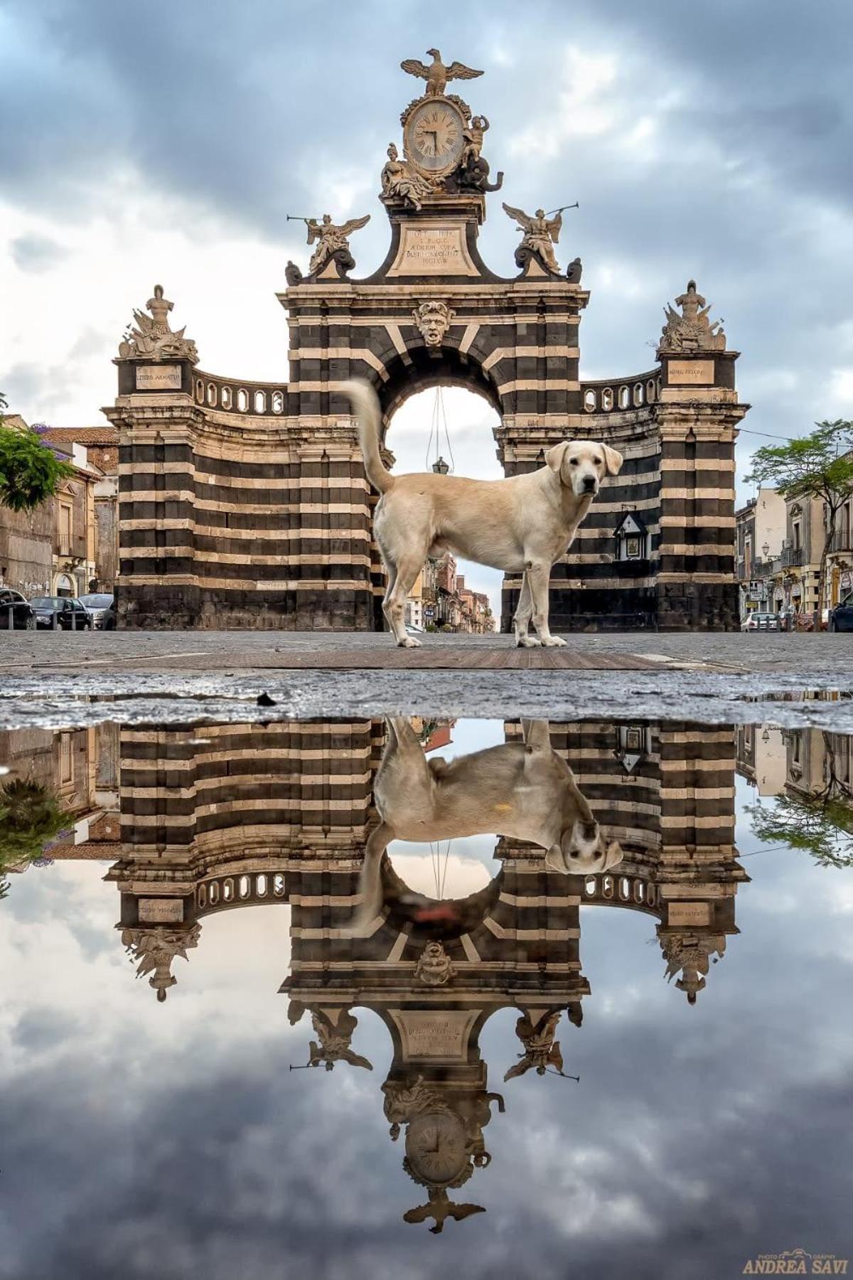 Garibaldi 94- Intera Casa A 2 Passi Dal Duomo Villa Catania Ngoại thất bức ảnh